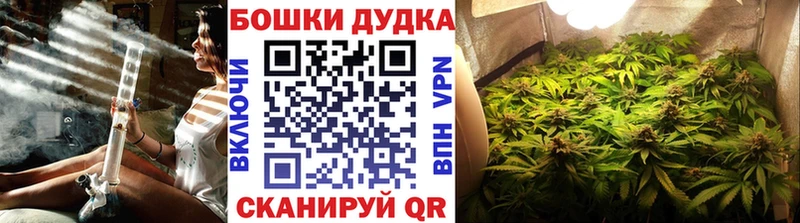 Где купить наркоту Бакал СК  Меф  КОКАИН  Гашиш  Бошки Шишки 