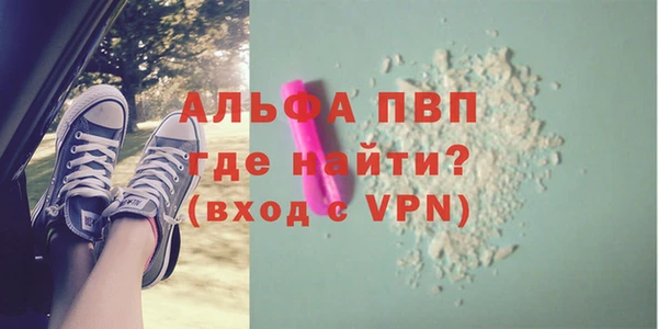 мет Алексин