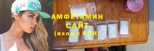 мет Алексин