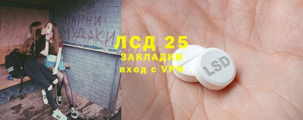 мет Алексин