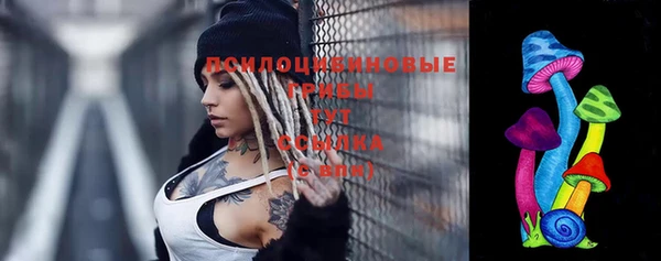 мет Алексин