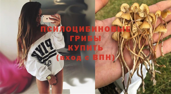 СК Алзамай