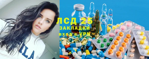 мет Алексин