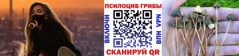 OMG tor  Бакал  Галлюциногенные грибы прущие грибы  как найти закладки 